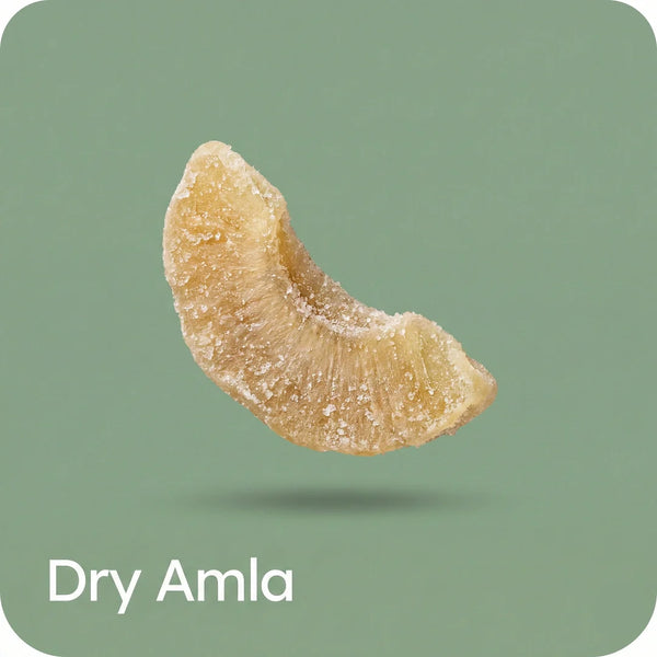 Dry Amla